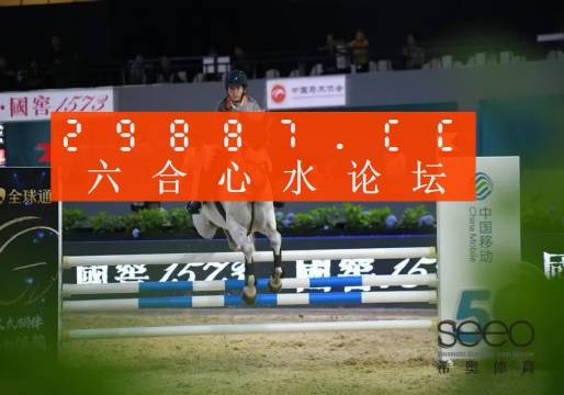探索王中王心水高手的傳奇故事，一場關于數字555525的揭秘之旅