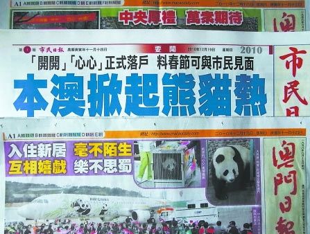 新澳門天天開好彩背后的犯罪問題