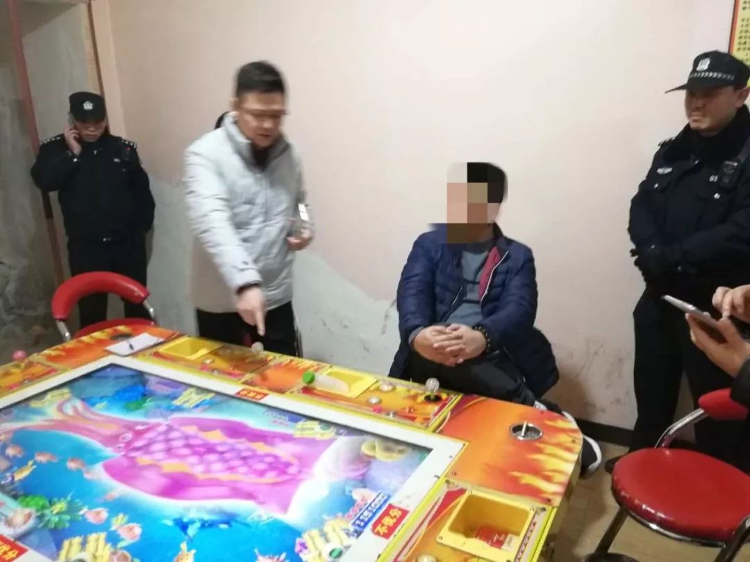澳門一肖中100%期期準揭秘，揭秘背后的違法犯罪問題