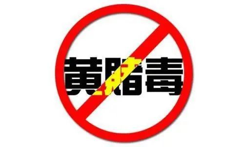 關(guān)于所謂的新澳門正版免費(fèi)資木車的警示與探討