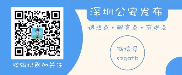 一肖一碼一一肖一子深圳，背后的犯罪問題與警示