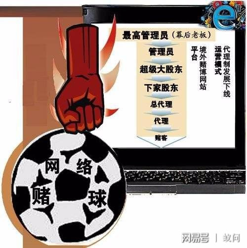 警惕網絡賭博風險，關于新澳天天開好彩大全的警示