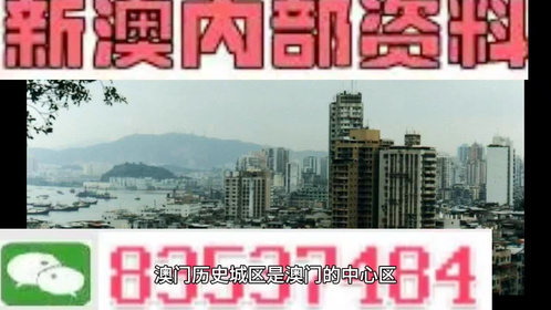 澳門內(nèi)部最準(zhǔn)資料澳門——揭示違法犯罪問題的重要性