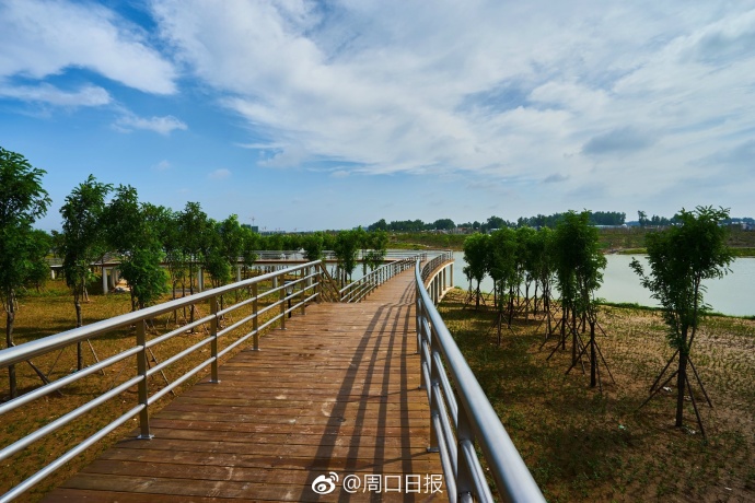 周口東新區(qū)最新情況