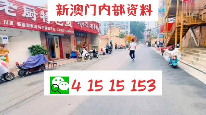 澳門天天開好彩背后的探索與挑戰——以2024年最新版為例