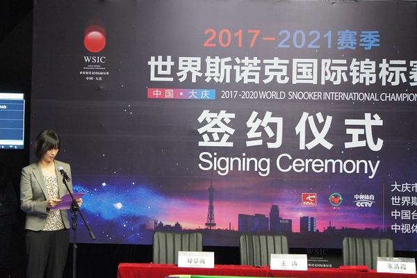 王中王一肖一特一中一澳，探索多元領域的杰出成就