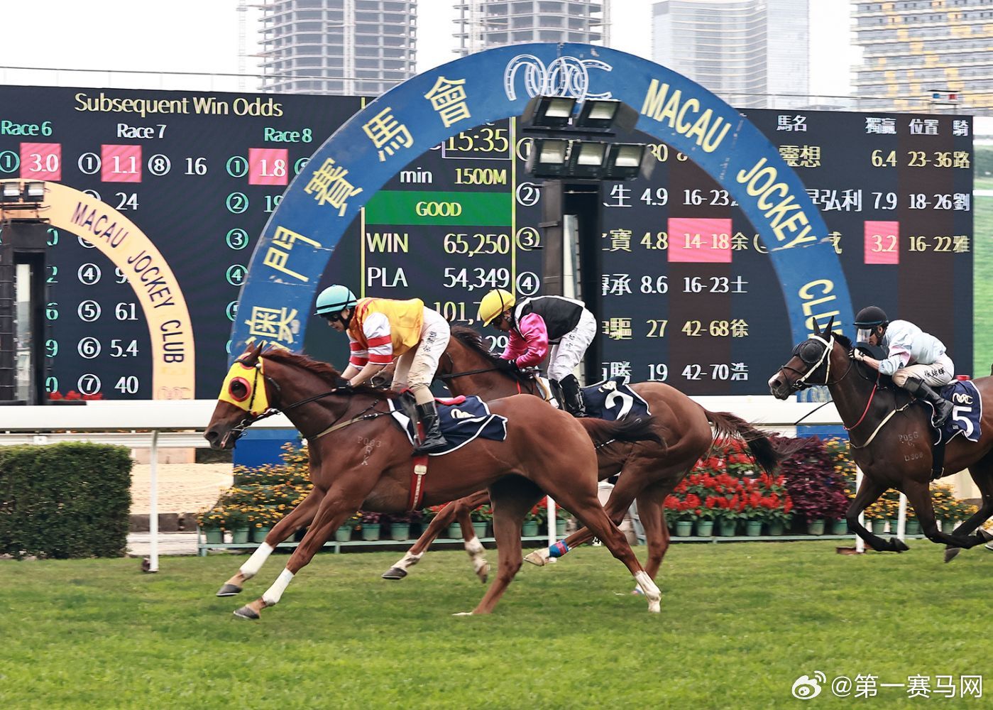 澳門特馬今晚開獎公益活動與違法犯罪問題探討