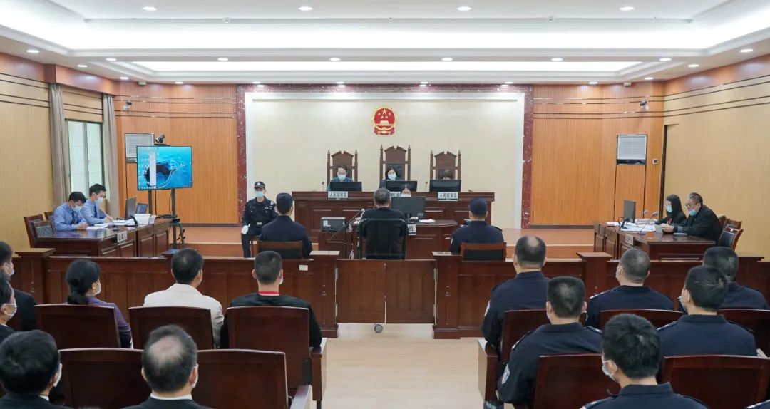 四肖期期準與犯罪行為的警示