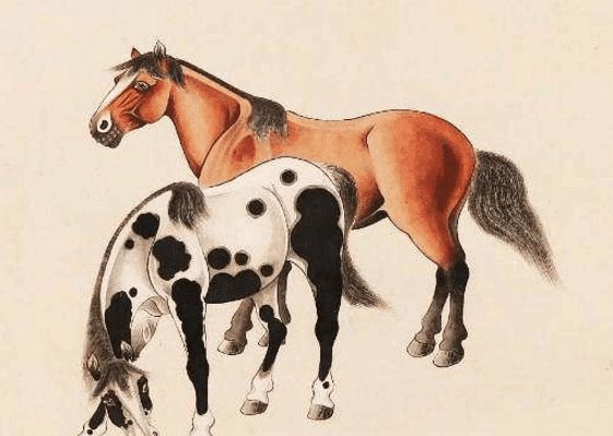三肖三期必出特馬——一個(gè)違法犯罪問題的探討