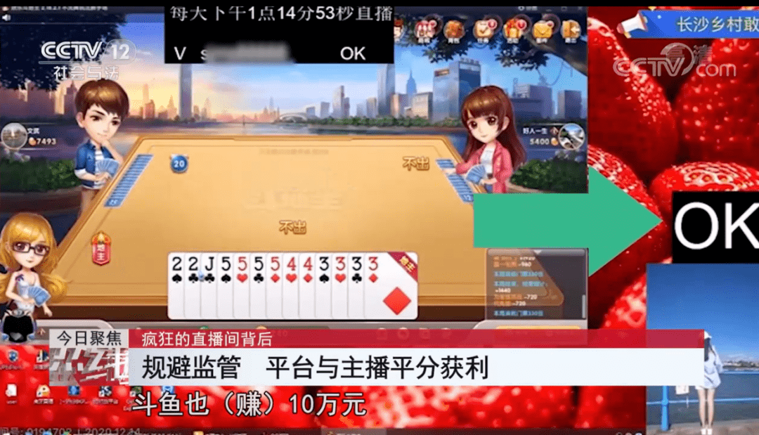 澳門一碼一肖一特一中直播，揭示背后的風險與挑戰