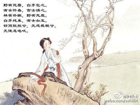 白小姐449999精準(zhǔn)一句詩，探索美麗與智慧的交融