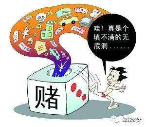 澳門一肖一特與犯罪預防的重要性