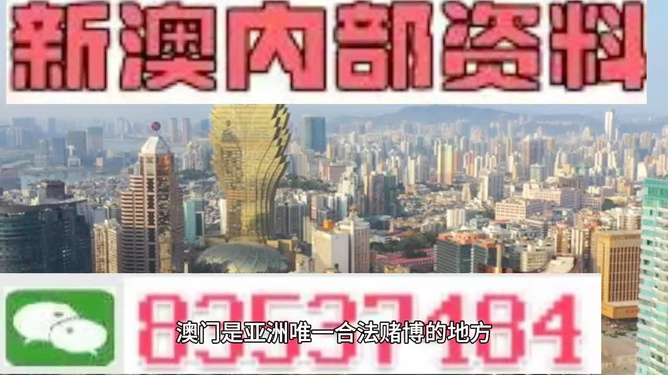 澳門內(nèi)部最精準(zhǔn)免費資料特點，警惕違法犯罪風(fēng)險