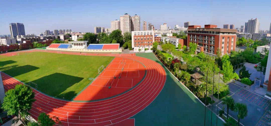 澳門免費(fèi)公開資料的未來展望，邁向更加開放的2024年