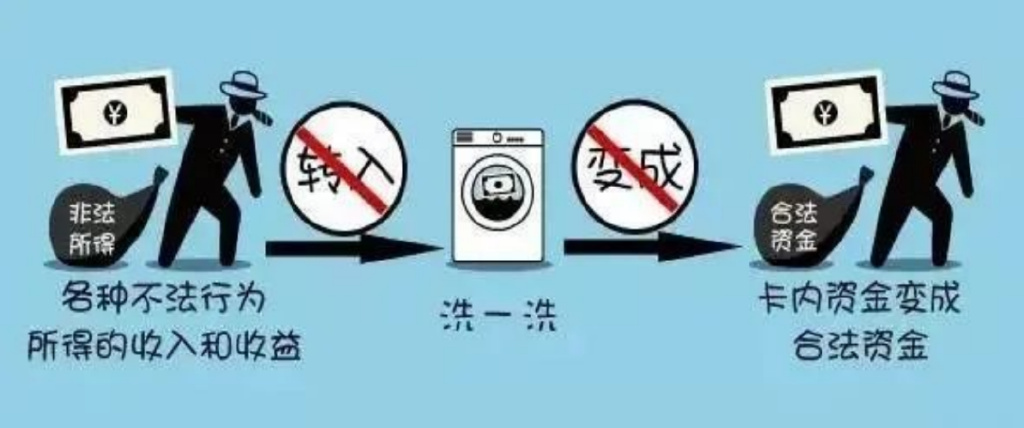 一肖一碼一一肖一子，揭示背后的犯罪風險與應對之道