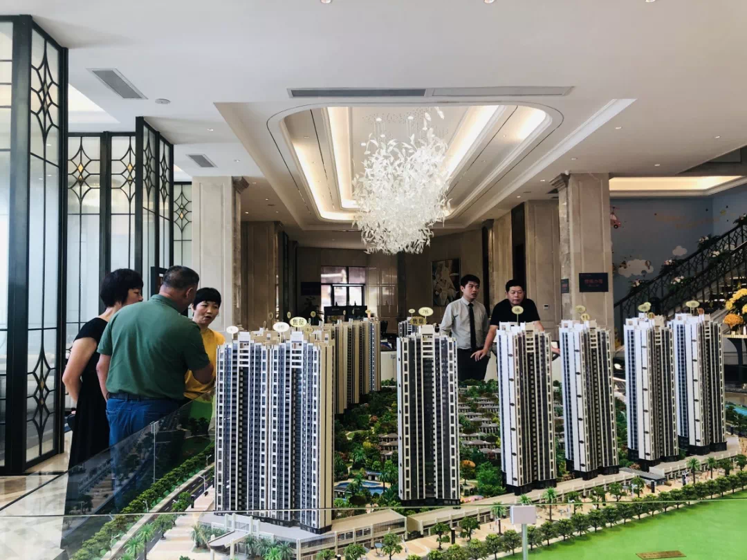 馬安鼎浩城最新消息全面解析