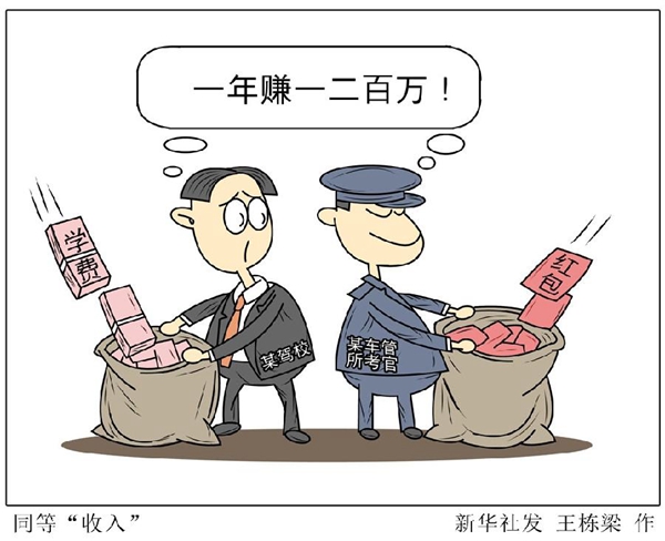 管家婆必出一肖一碼一中，揭秘背后的秘密與真相
