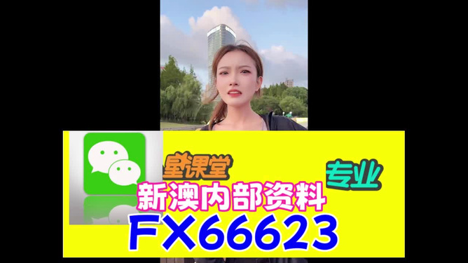 澳門王中王期期中與犯罪問題，揭示真相與警示公眾