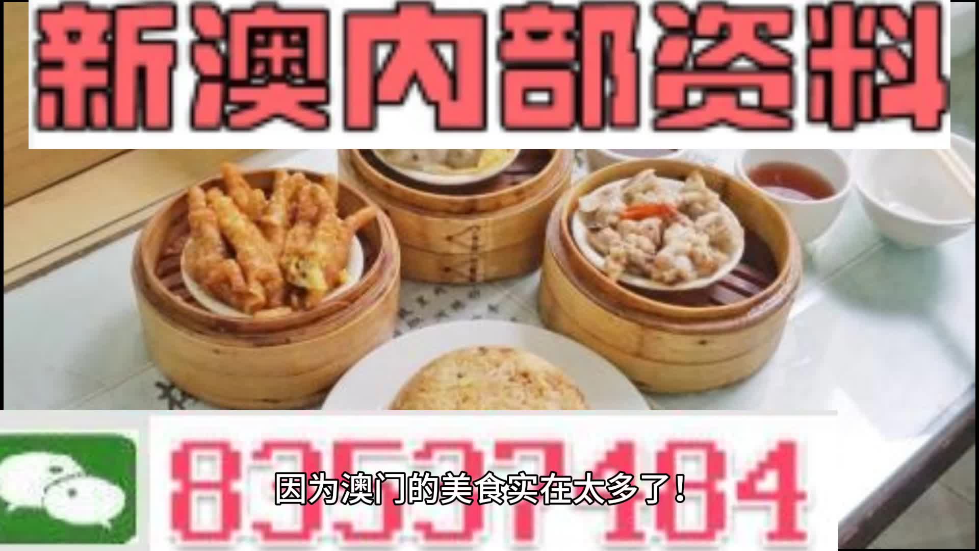 新澳門資料大全正版資料，探索與解讀