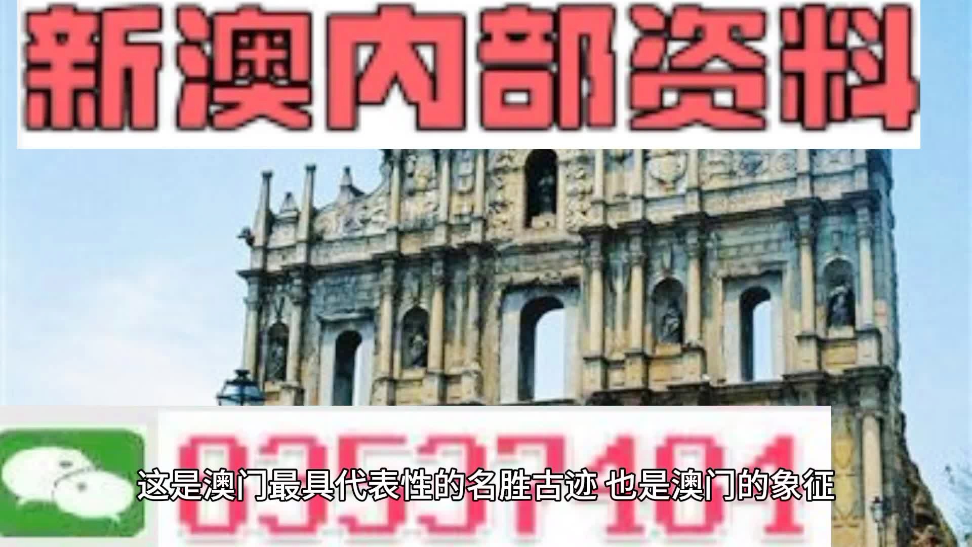 新澳門最新免費資料大全，探索與發現