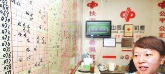 二四六白姐一肖一碼，揭秘彩票背后的故事與智慧投注策略