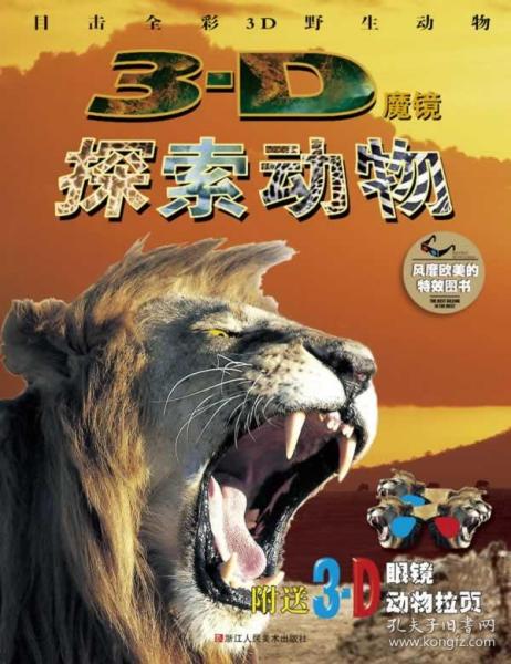 四不像正版與正版四不像一，探究正版與盜版之間的微妙差異