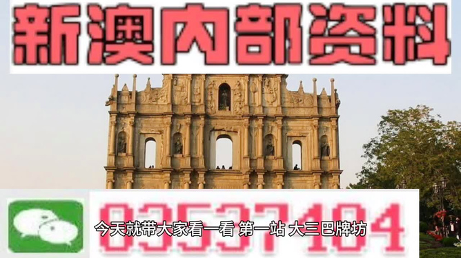 澳門高級(jí)內(nèi)部VIP資料，揭示違法犯罪的危害與應(yīng)對(duì)之策