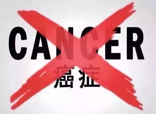 劉澤若晗 第6頁