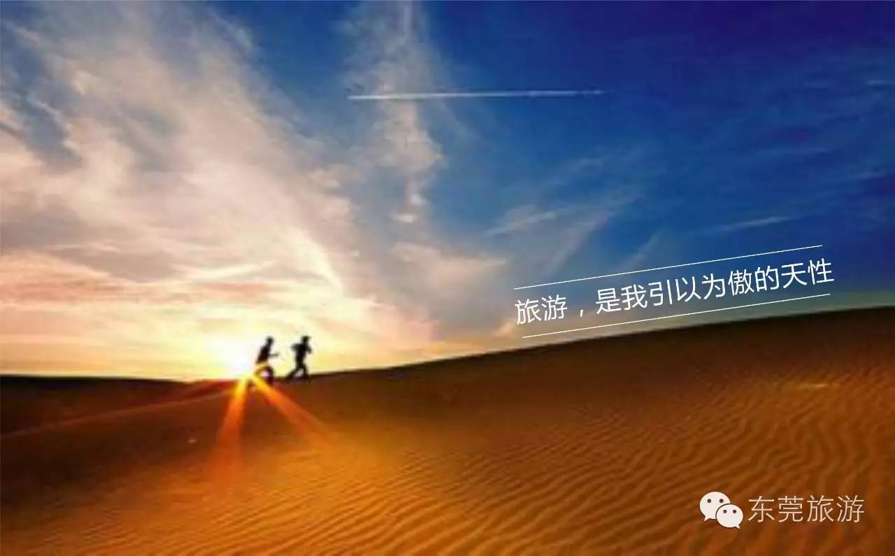 南山楠最新，探索自然之美與時代精神