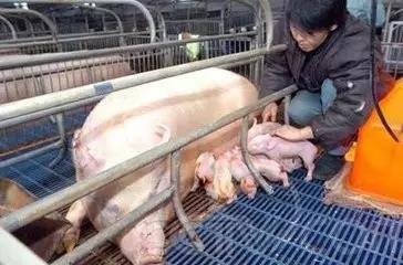 張博若新_1 第6頁