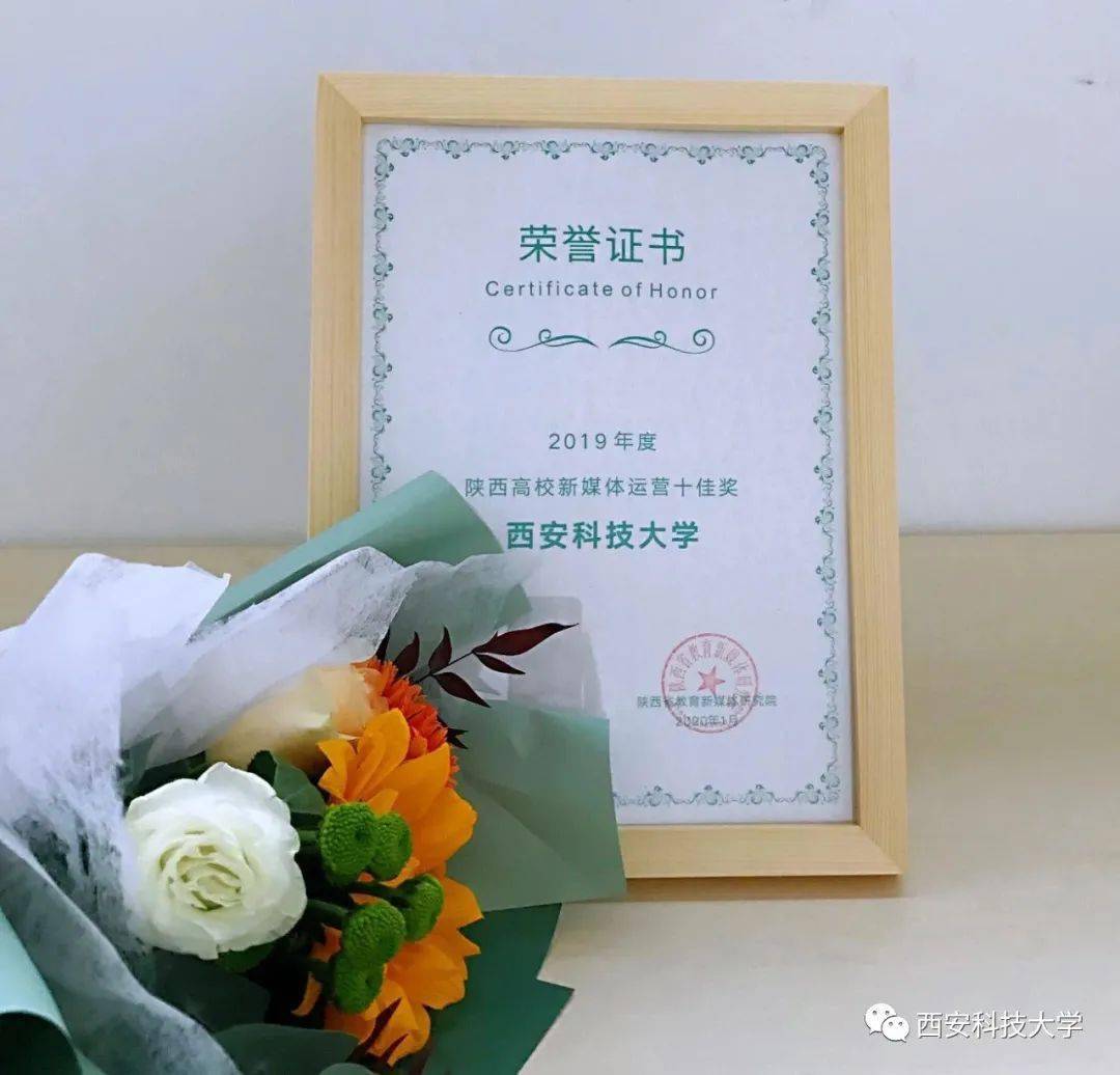 漢網最新報道，揭示社會熱點，聚焦時事動態