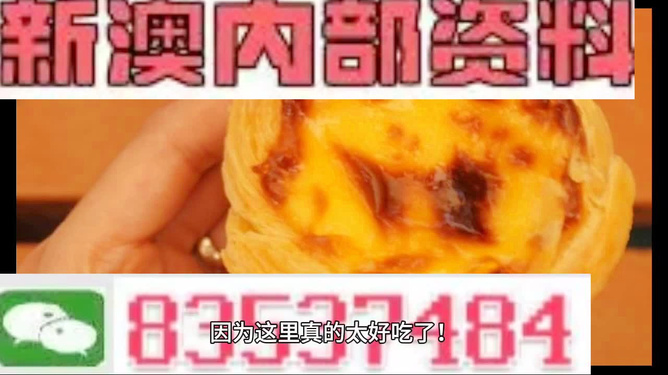 關于澳門正版免費精準資料的探討——警惕違法犯罪風險