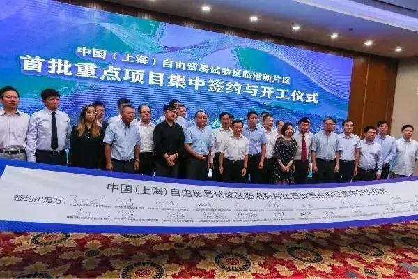 新奧天天精準資料大全，深度解析與實際應(yīng)用
