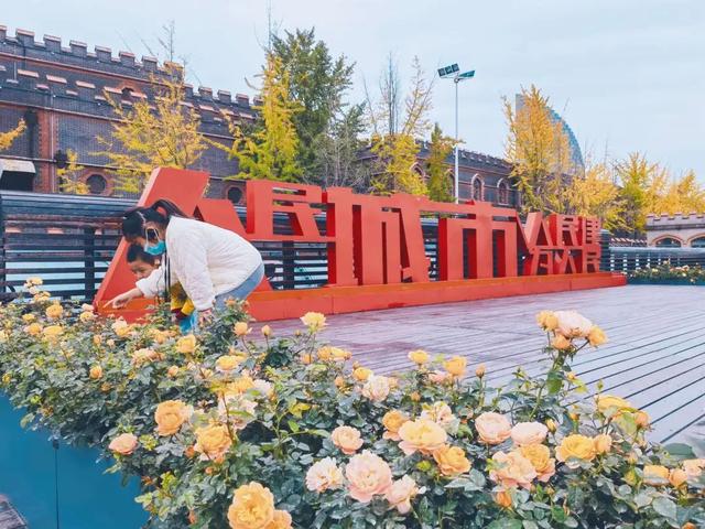 最新幸福城市，探尋幸福生活的藍(lán)圖