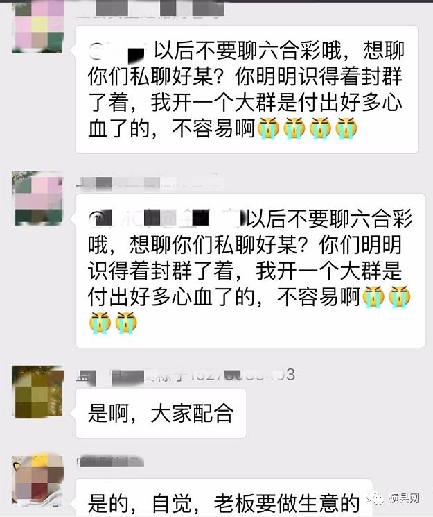 白小姐今晚特馬期期準六的魅力與神秘