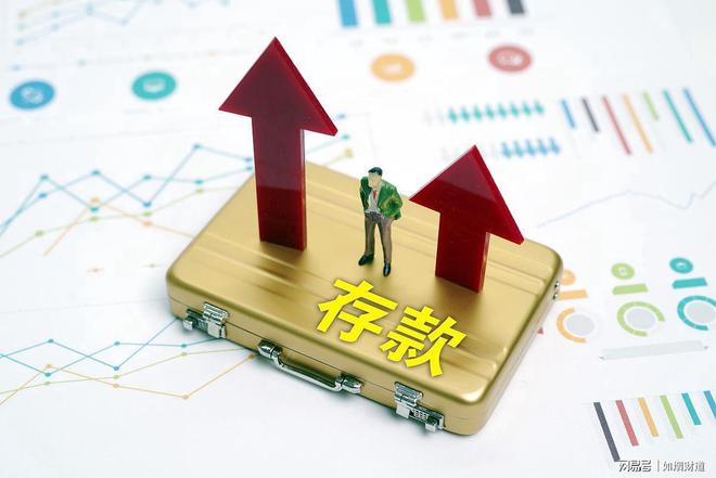 新澳門和香港2024正版資料免費公開，探索與啟示