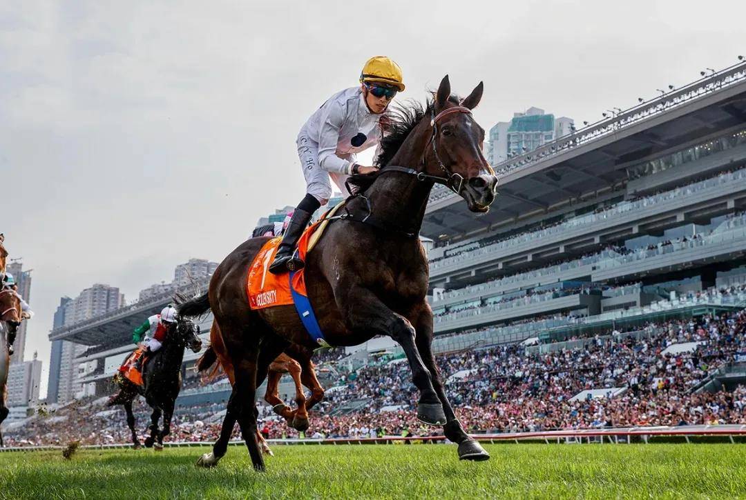 香港賽馬資料更新的速度與深度，與時俱進，掌握最新動態(tài)