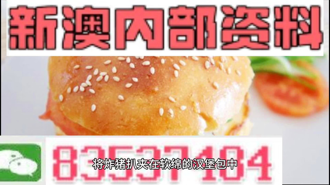 新澳2024大全正版免費資料，探索與揭秘