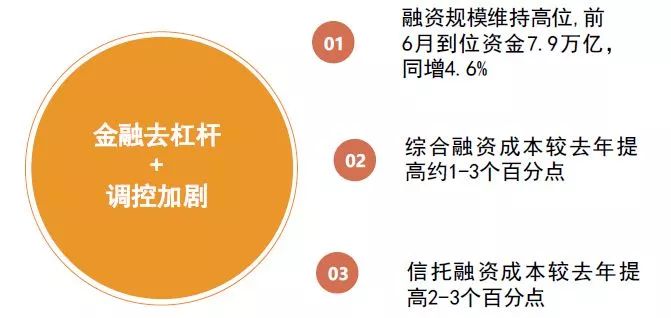 最新N文的發(fā)展與影響，探索未來的語言趨勢