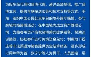 新澳門內部一碼精準公開網站，特色釋義、解釋與落實的探討——警惕背后的潛在風險與違法犯罪問題