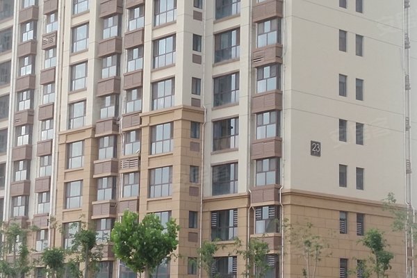 滄州萬泰麗景最新動態，城市新篇章的華麗開篇