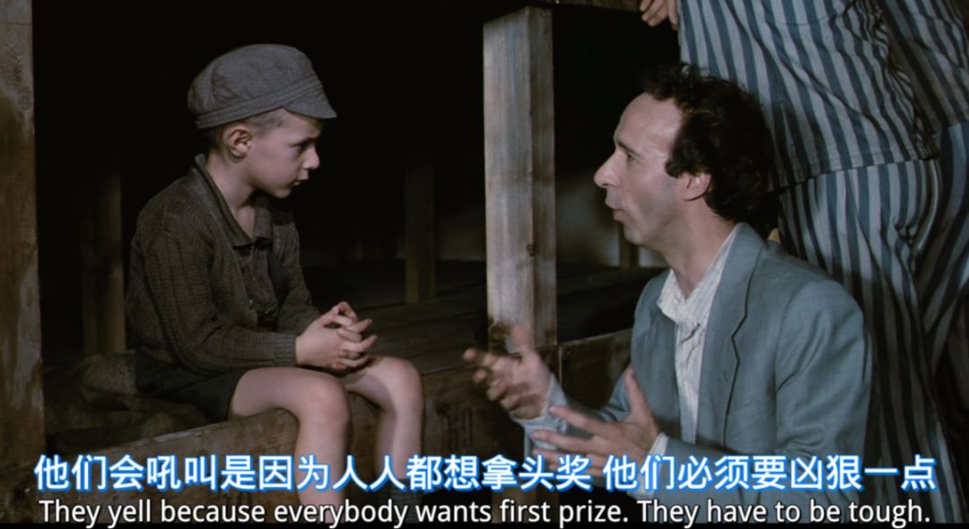 戀老花甲日志小說，歲月靜好，因你而美