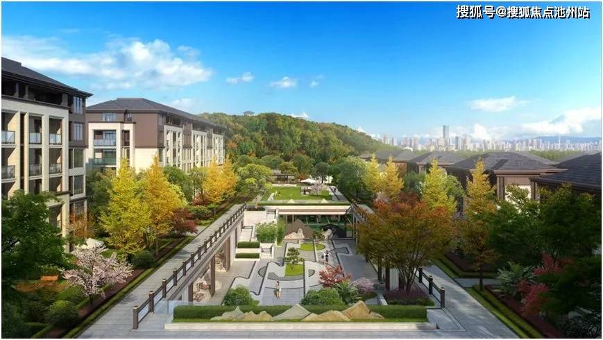 中央幣近期最新消息全面解析
