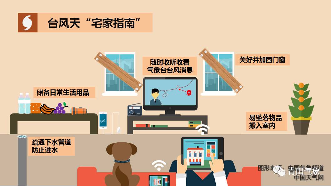 臺風(fēng)納沙最新路徑圖，動(dòng)態(tài)分析與影響評估