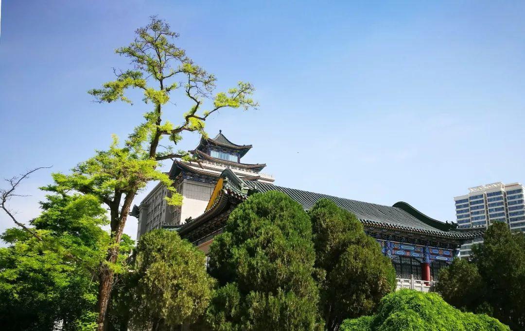 北方民族大學貼吧最新動態(tài)解析