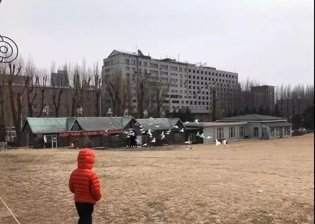 長春城管執法最新消息，城市管理的持續進步與執法創新
