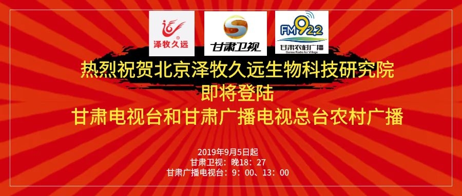 泰和澤盛最新進展，邁向成功的步伐與未來展望