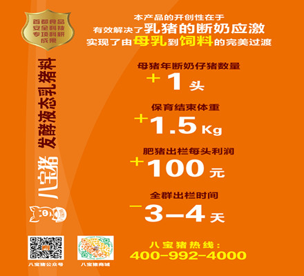 東明信息港最新招聘信息詳探