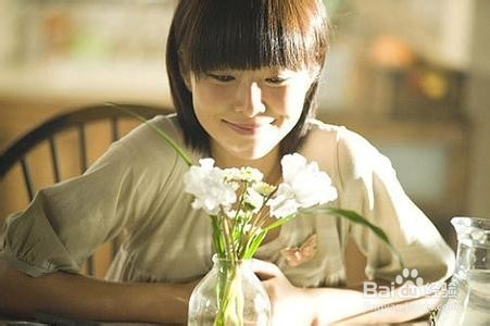 陸厲懷沈秋最新章節，情感與命運的交織