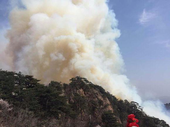鞍山千山大火最新消息，全面撲救與災后重建工作進展